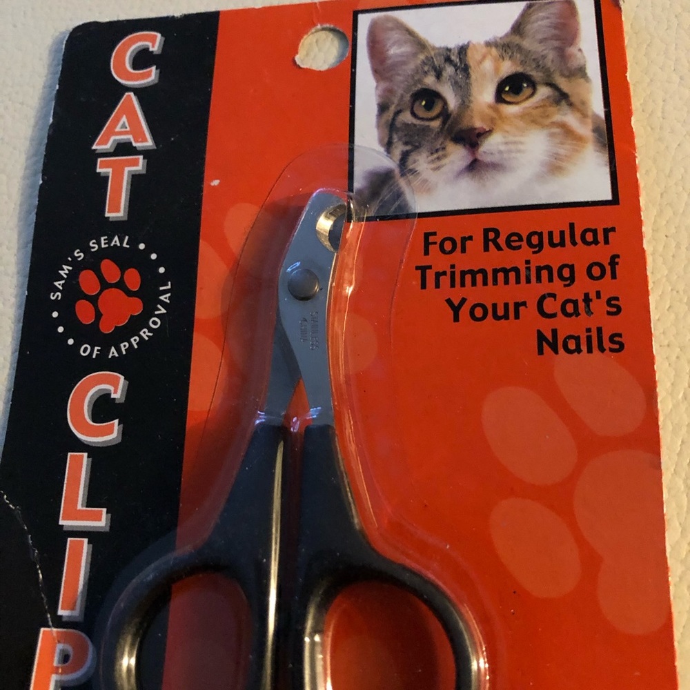 CATS 🐈 - Picture 2 of 5